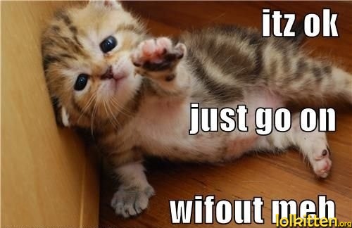 itz ok just go on wifout meh