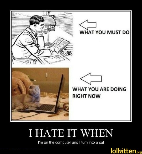 I HATE IT WHEN I'm on the computer and I turn into a cat