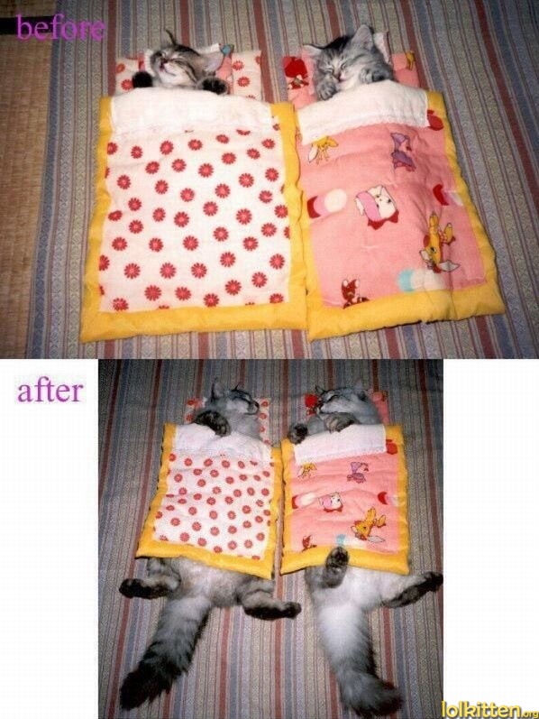 before after