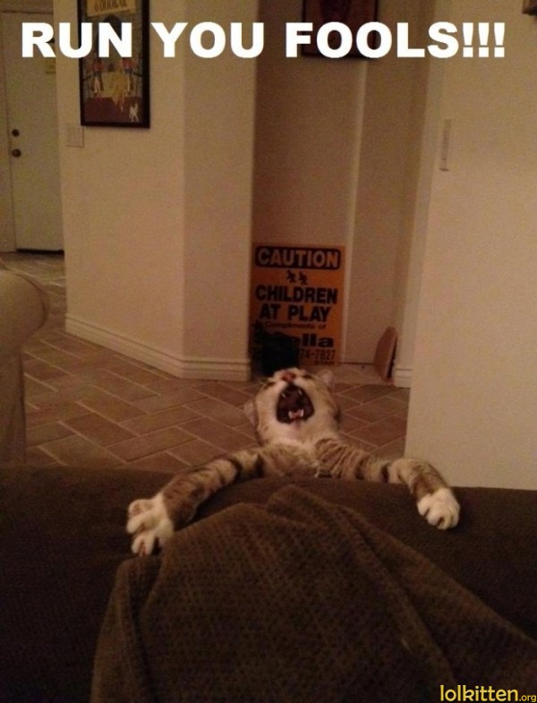 RUN YOU FOOLS!!!