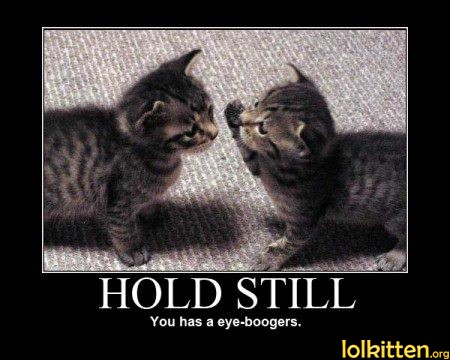 HOLD STILL You has a eye-boogers.