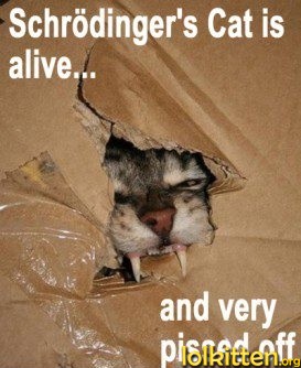Schrödinger's cat is alive... and very pissed off