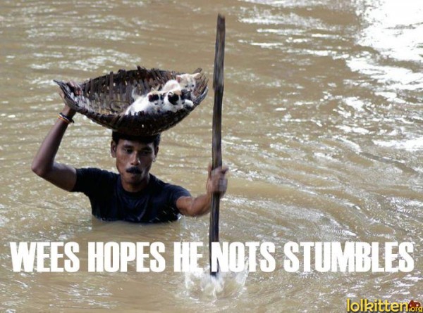 WEES HOPES HE NOTS STUMBLES