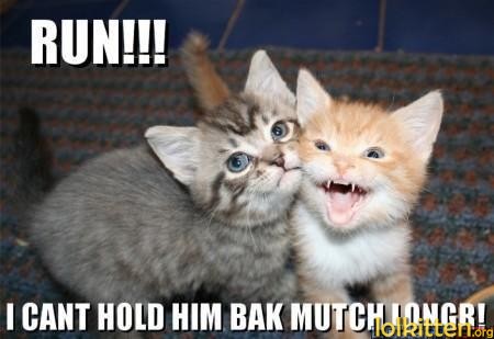 RUN!!! I CANT HOLD HIM BAK MUTCH LONGR!