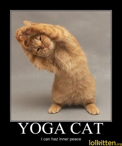 I can haz inner peace
