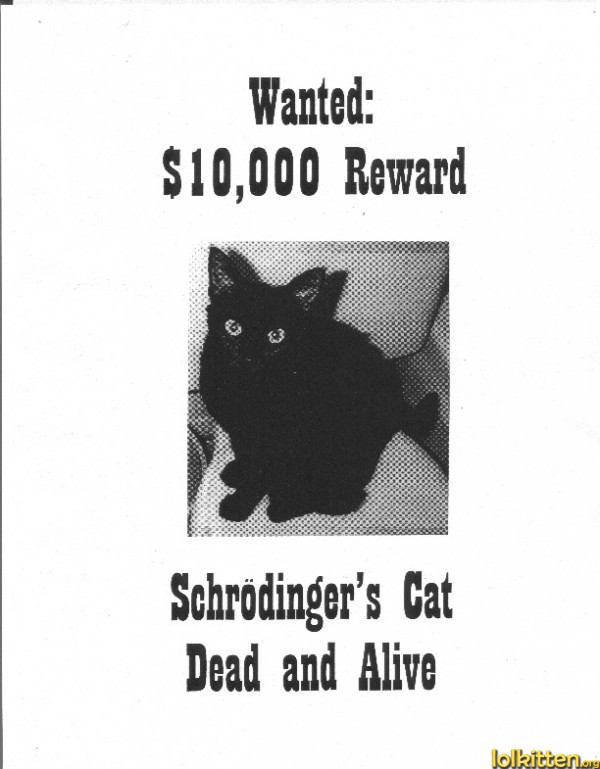 Wanted: $10,000 Reward Schrödinger's Cat Dead and Alive