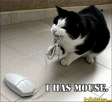I HAS MOUSE.