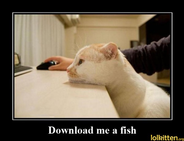 Download me a fish