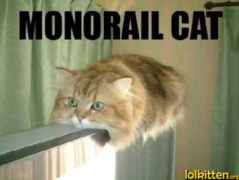 MONORAIL CAT