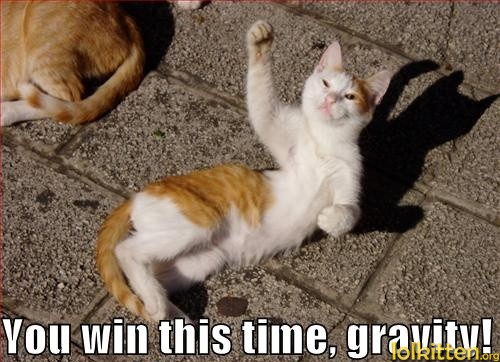 You win this time, gravity!