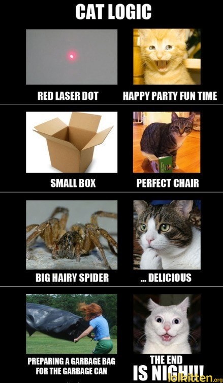 CAT LOGIC