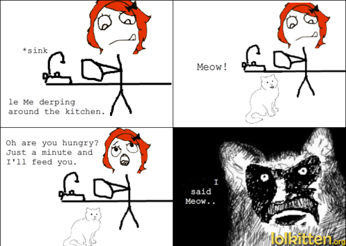 I said Meow..