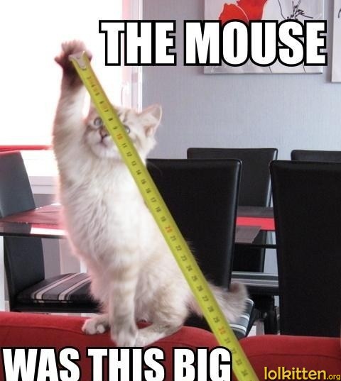 THE MOUSE WAS THIS BIG