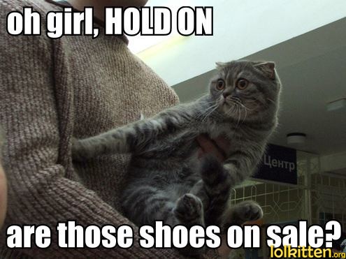 girl, HOLD ON; are those shoes on sale?