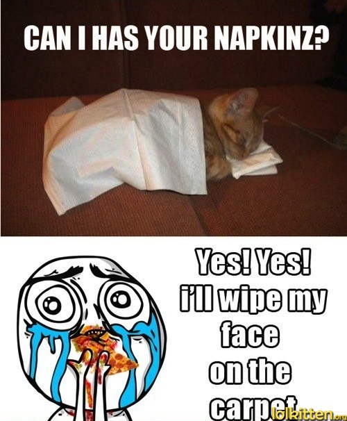 CAN I HAS YOU NAPKINZ Yes! Yes! i'll wipe my face on the carpet