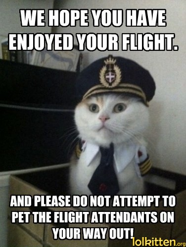 WE HOPE YOU HAVE ENJOYED YOUR FLIGHT. AND PLEASE DO NOT ATTEMPT TO PET THE FLIGHT ATTENDANTS ON YOUR WAY OUT! 