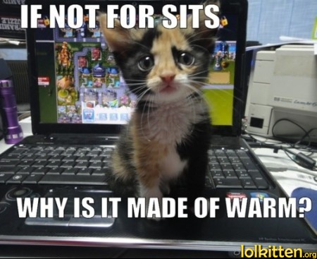 IF NOT FOR SITS WHY IS IT MADE OF WARM?