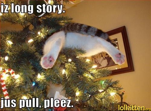 iz long story. jus pull pleez.