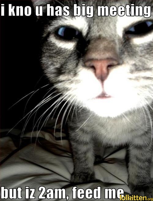 i kno u has big meeting but iz 2 am, feed me