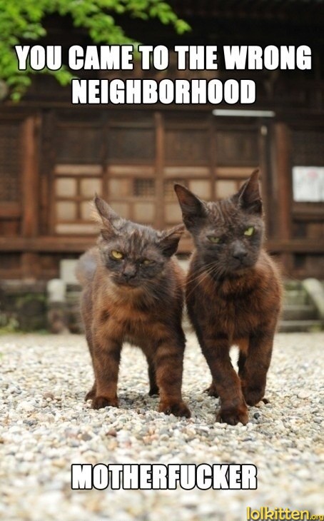 YOU CAME TO THE WRONG NEIGHBORHOOD