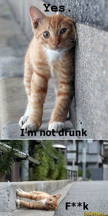 Yes. I'm not drunk - F**k