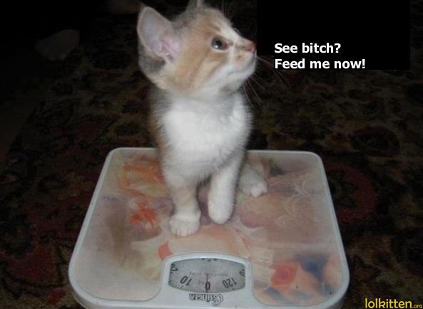 See b*tch? Feed me now!