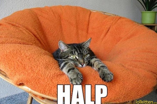 HALP