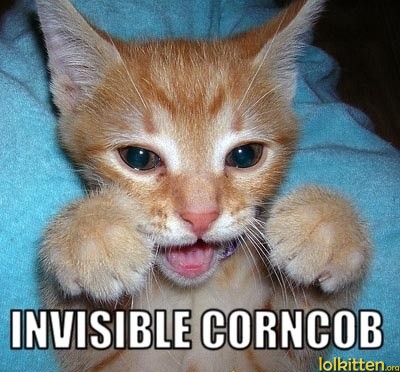 INVISIBLE CORNCOB