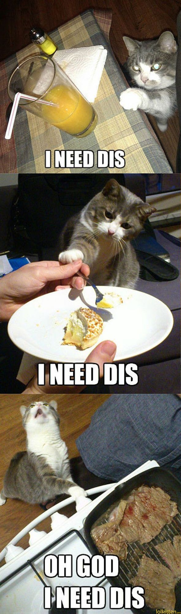 I NEED DIS - I NEED DIS - OH GOD I NEED DIS