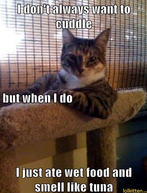 I don't always want to cuddle but when I do I just ate wet food and smell like tuna