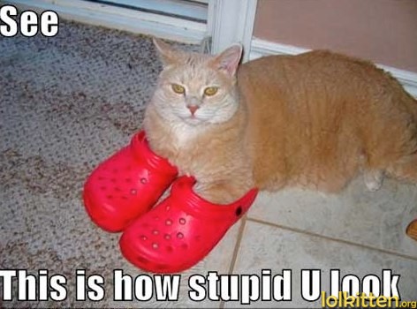 See This is how stupid U look