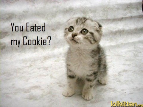 You Eated my Cookie?