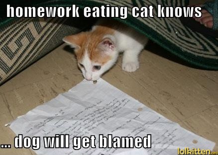 homework eating cat knows ... dog will get blamed