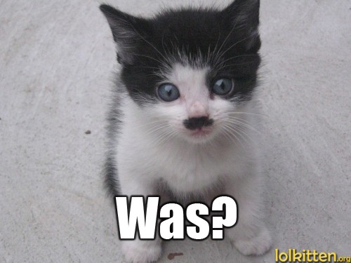 Was?