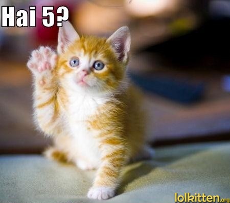 Hai 5?