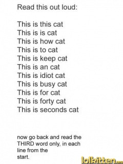 Idiot Test