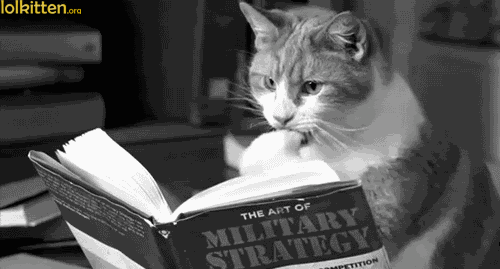 military strategy cat