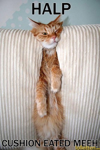 HALP - CUSHION EATED MEEH