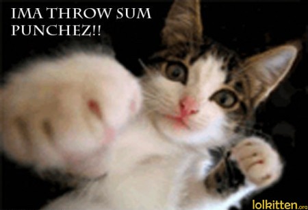 IMA THROW SUM PUNCHEZ!!
