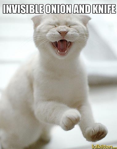 INVISIBLE ONION AND KNIFE