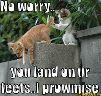 No worry.. you land on ur feets.. I prowmise
