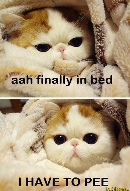 aah finally in bed - I HAVE TO PEE