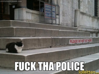 F**K THA POLICE
