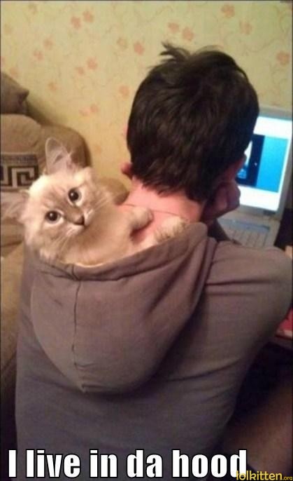 I live in da hood
