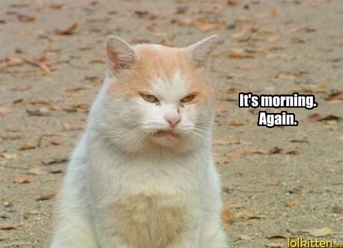 It's morning. Again.