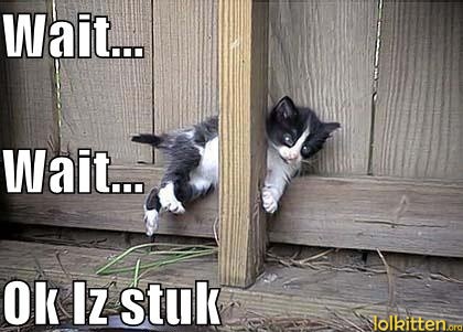 Wait... Wait... Ok Iz stuck