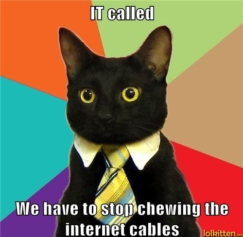 IT called We have to stop chewing the internet cables