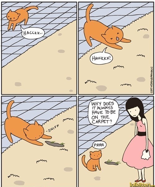 WHY DOES IT ALWAYS HAVE TO BE ON THE CARPET?