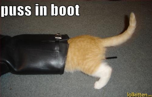 puss in boot