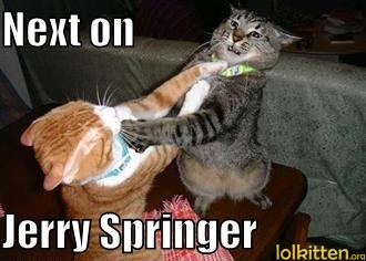 Next on Jerry Springer